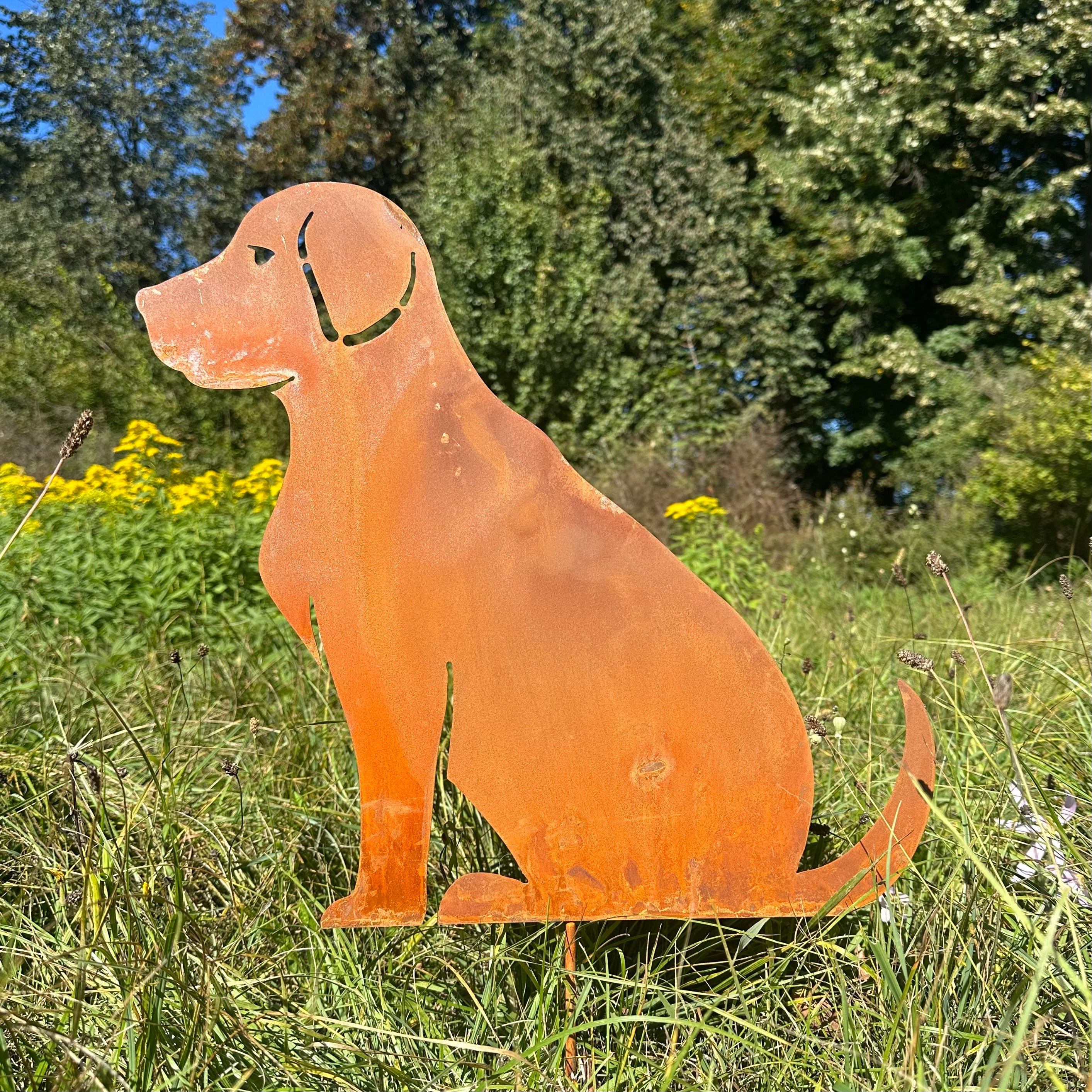 Hund „Labrador sitzend”