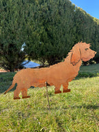 Hund „Rauhaardackel”