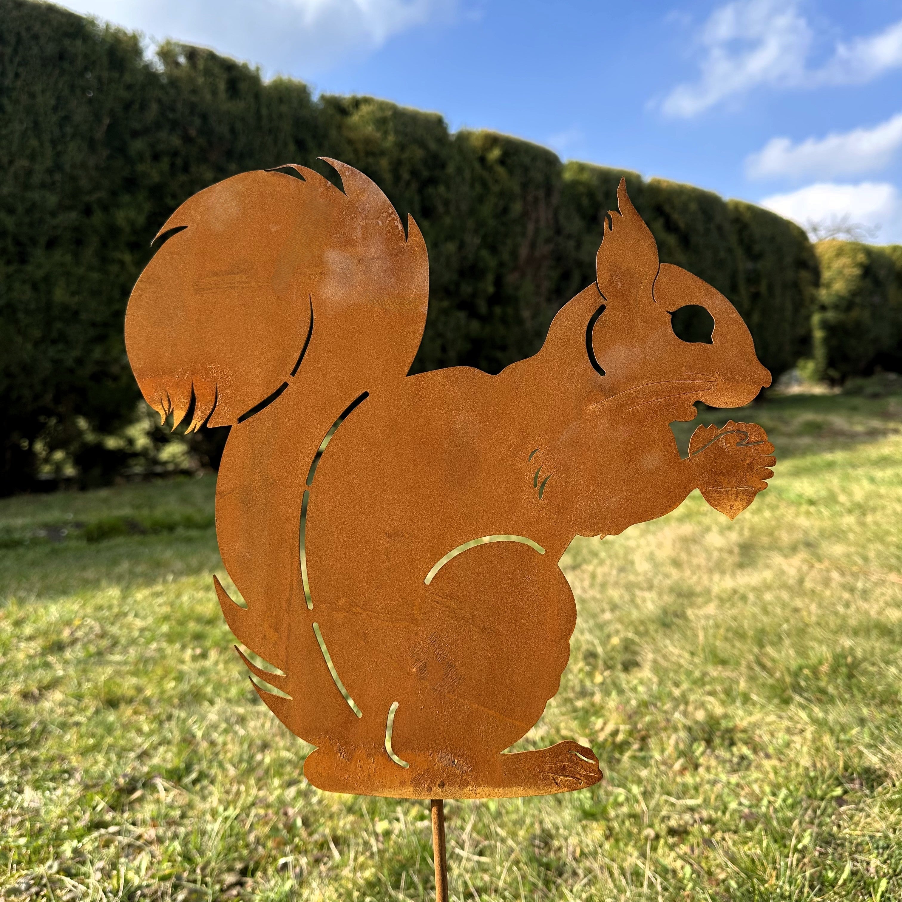 Eichhörnchen „mit Nuss”