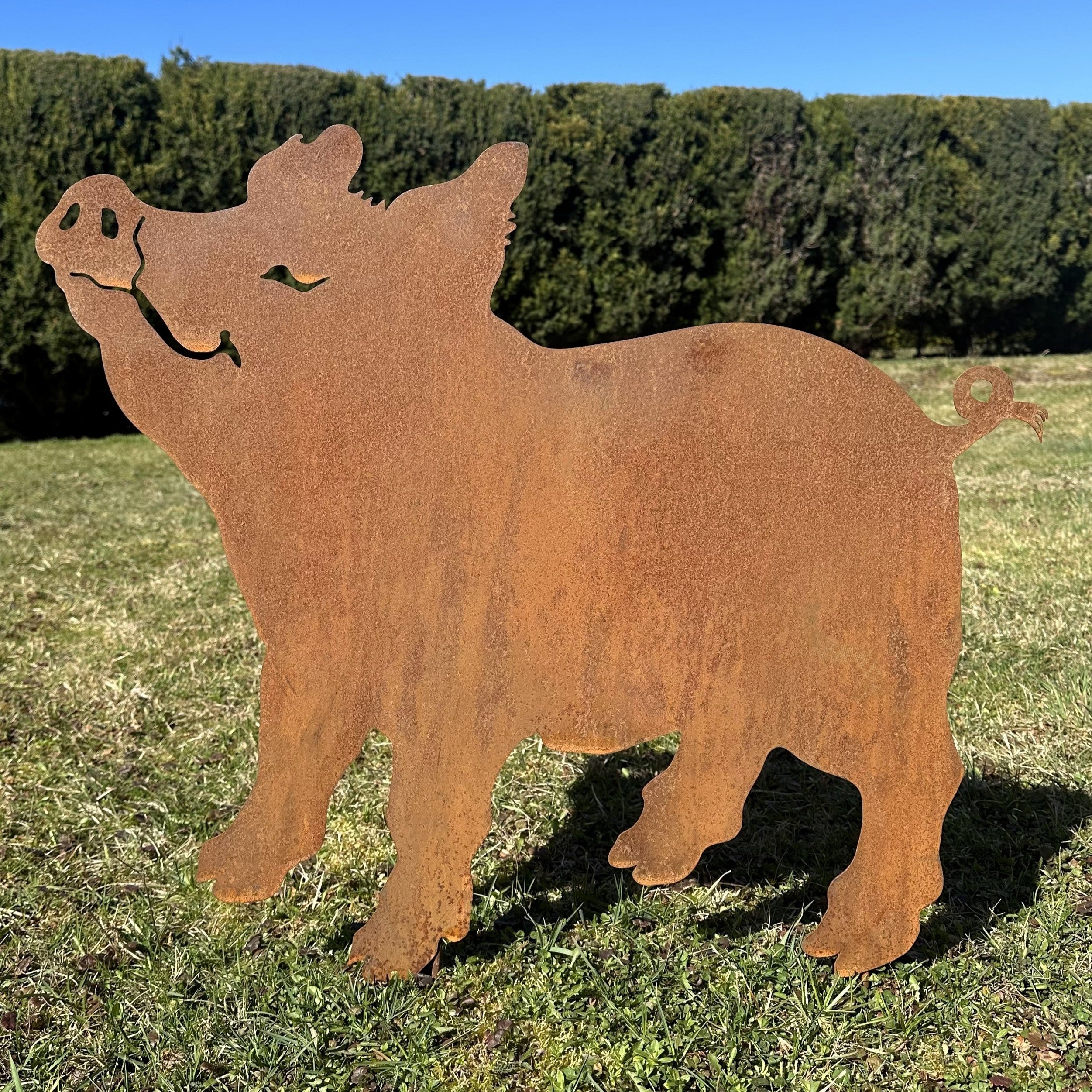 Schwein „Grinsend” Groß