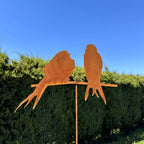 Vögel „Blick“